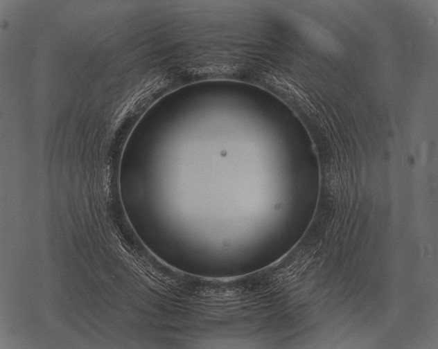 X0000077340735200611031755
