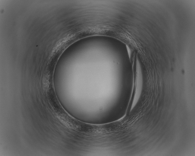 X0000077340736200611031755