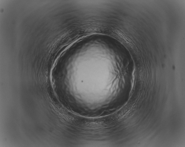 X0000077340737200611031755