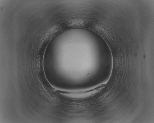 X0000077340739200611031755