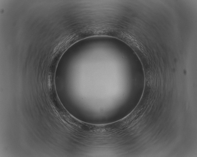 X0000077340740200611031755