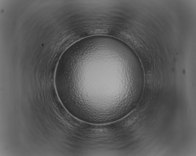 X0000077340741200611031755
