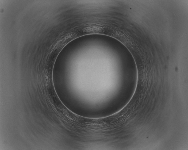 X0000077340743200611031755