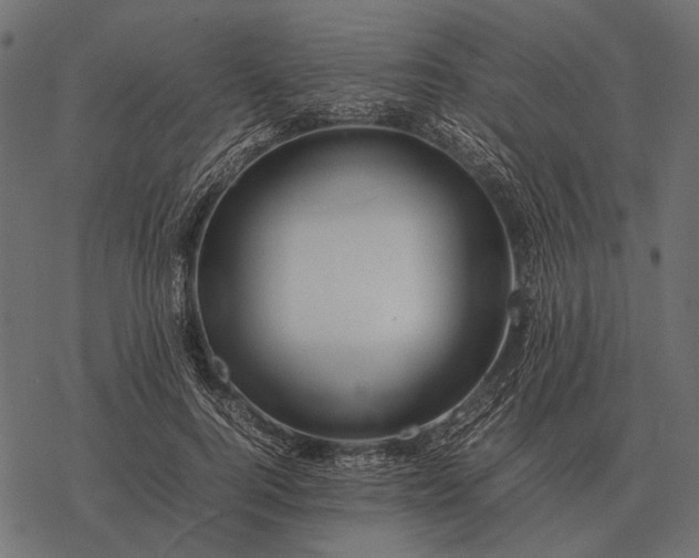 X0000077340744200611031755
