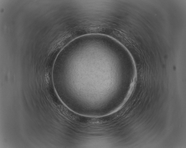 X0000077340746200611031755