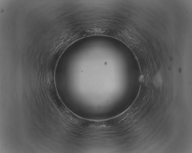 X0000077340747200611031755