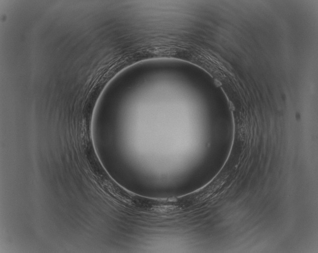 X0000077340748200611031755