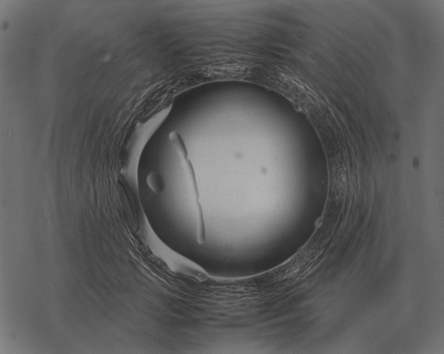 X0000077340749200611031755