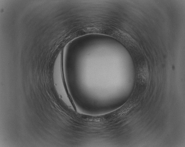 X0000077340751200611031755