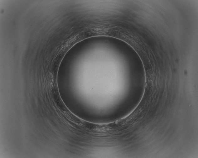 X0000077340752200611031755
