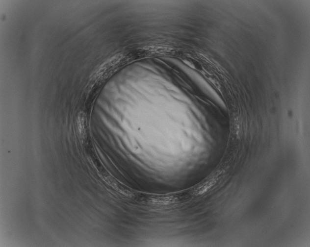 X0000077340757200611031755