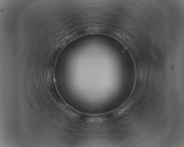 X0000077340759200611031755