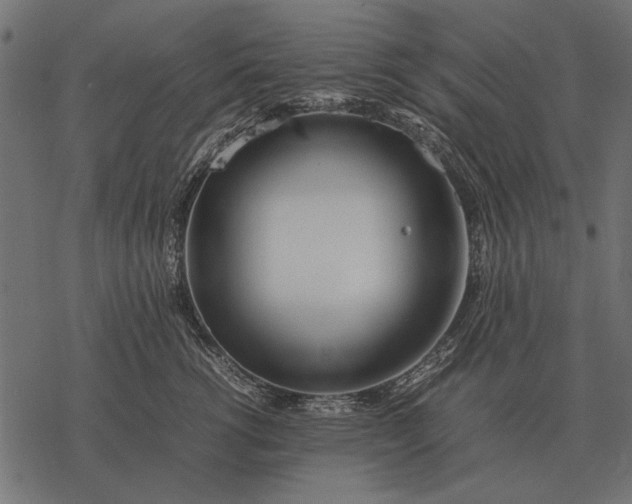 X0000077340762200611031755