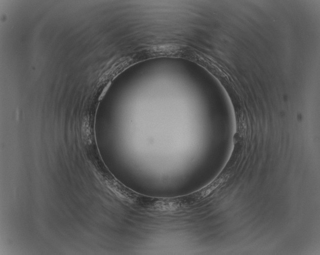 X0000077340764200611031755
