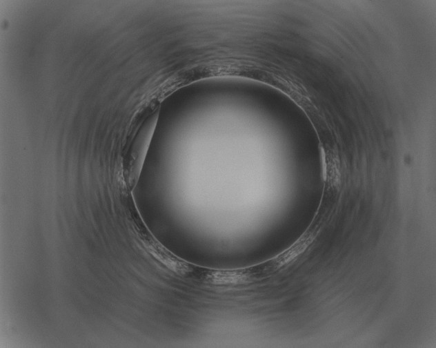 X0000077340766200611031755