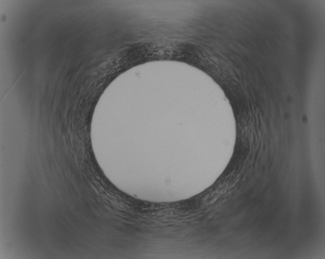 X0000077340769200611031755