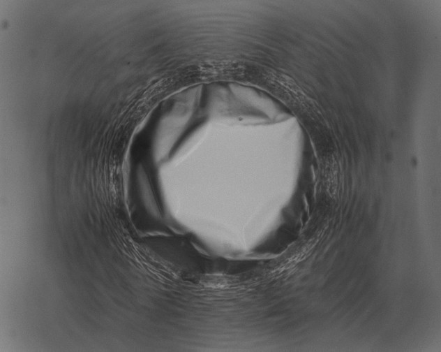 X0000077340770200611031755