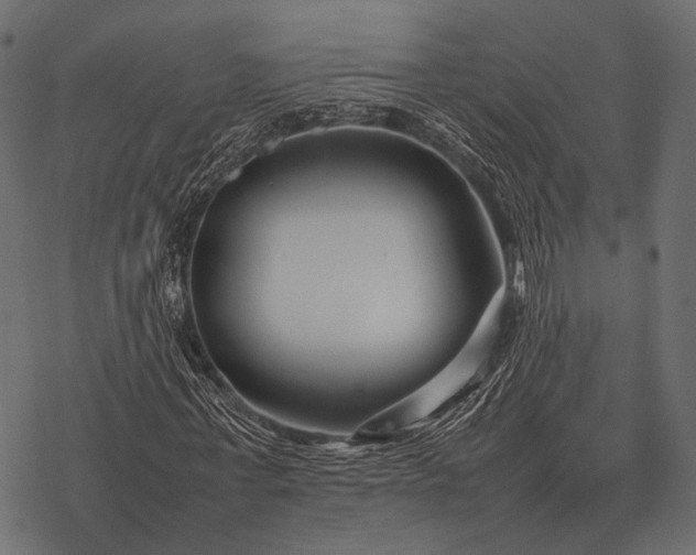 X0000077340771200611031754