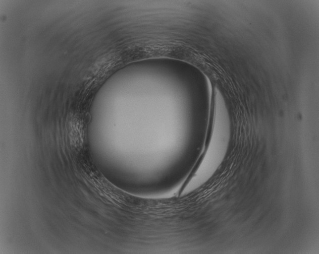 X0000077340772200611031754