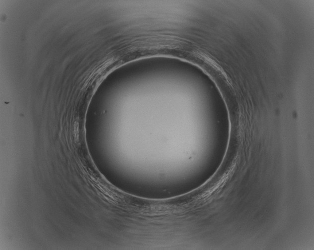 X0000077340777200611031754