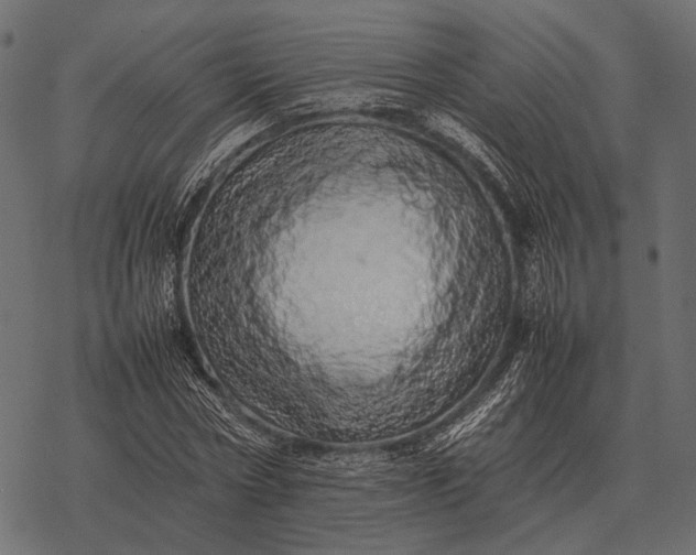 X0000077340778200611031754