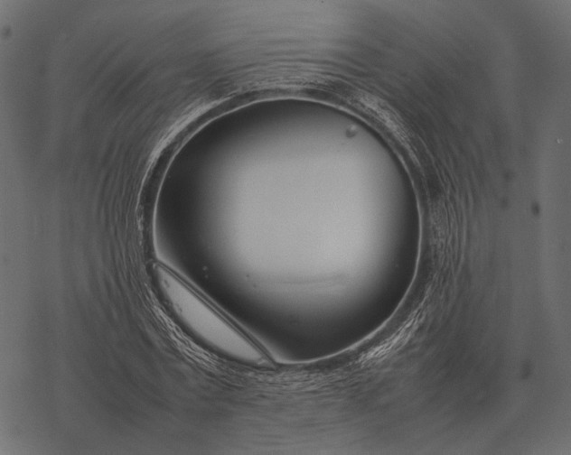 X0000077340779200611031754