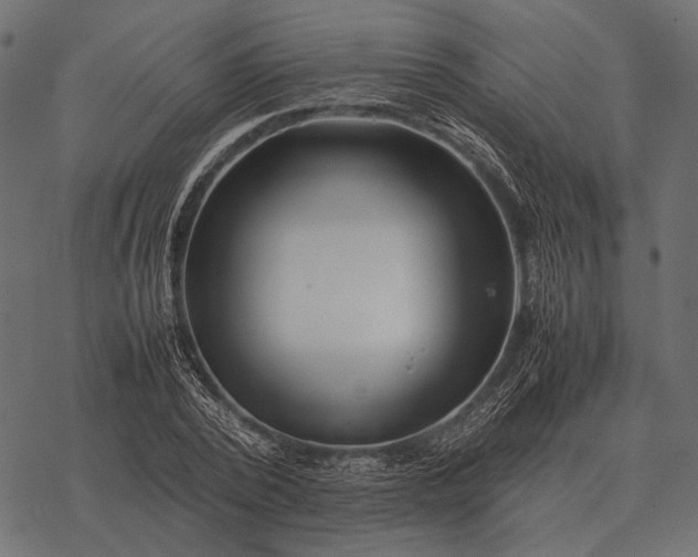 X0000077340784200611031754