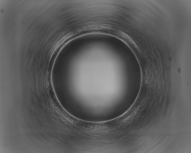 X0000077340786200611031754