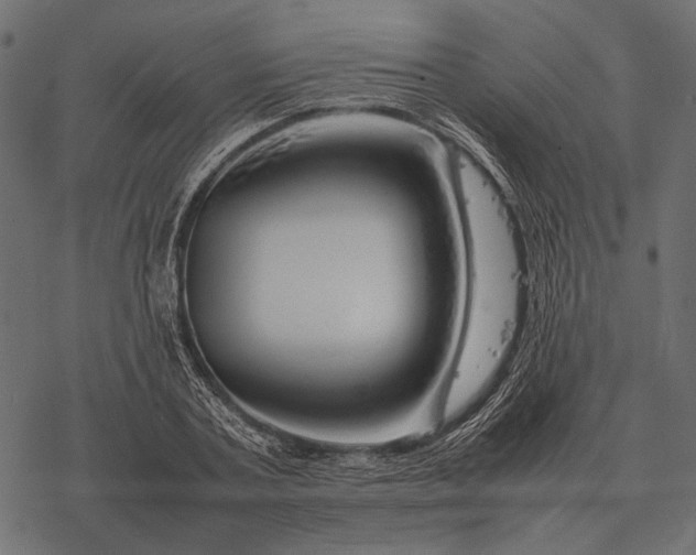 X0000077340787200611031754