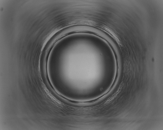X0000077340788200611031754