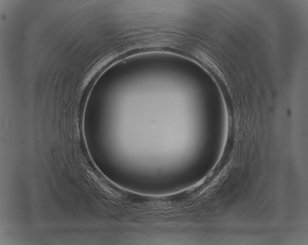 X0000077340789200611031754