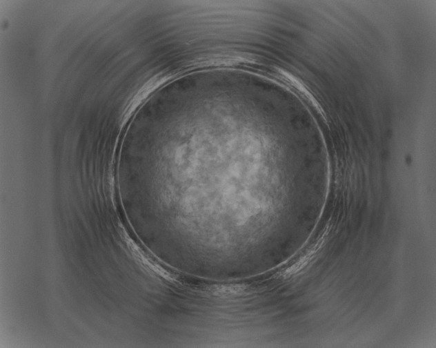 X0000077340802200611031754