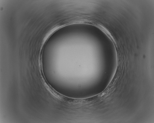 X0000077340811200611031754