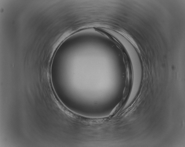 X0000077340813200611031754