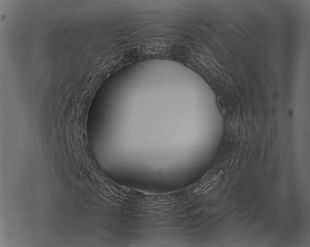 X0000077340817200611031753