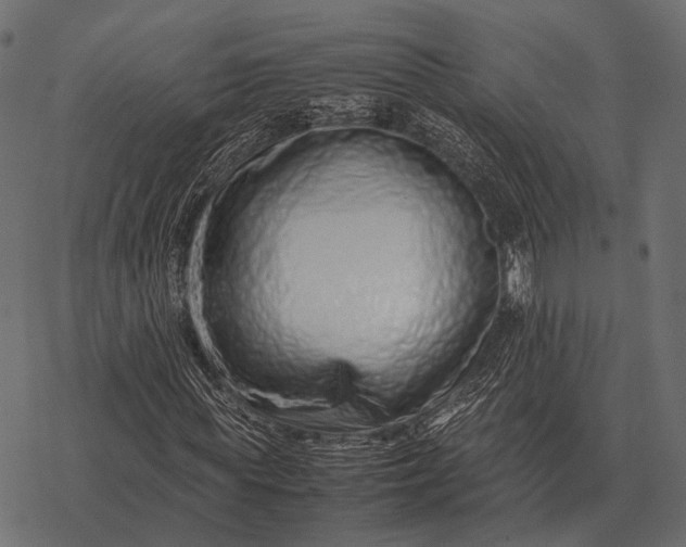X0000077340819200611031753