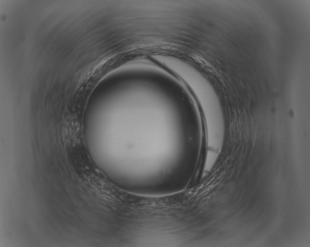 X0000077340822200611031753