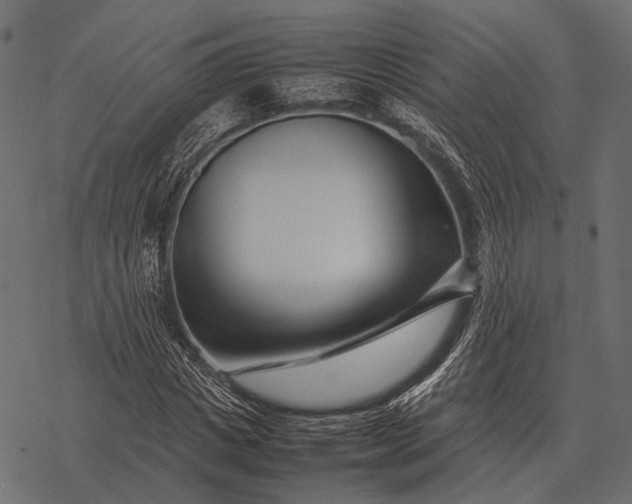 X0000077340825200611031753