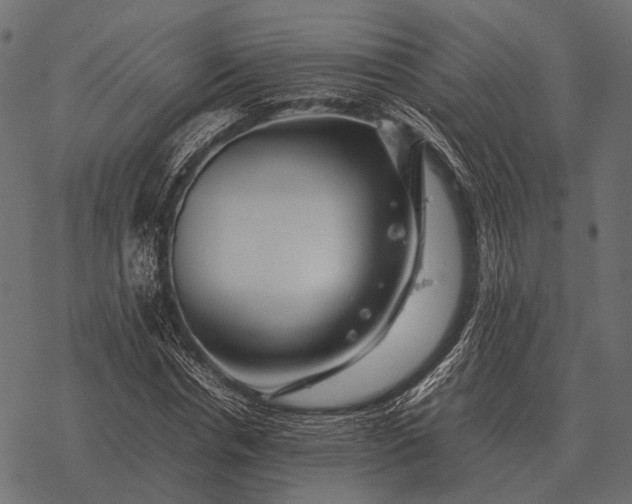 X0000077340826200611031753
