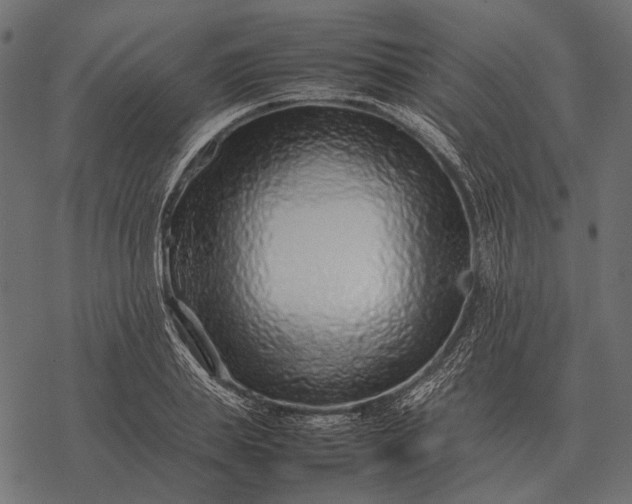 X0000077340839200611031753