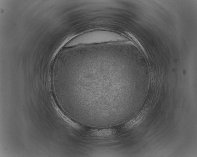 X0000077340851200611031754