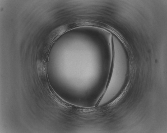 X0000077340857200611031754