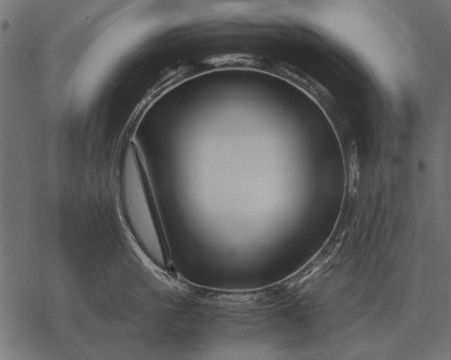 X0000077340861200611031754