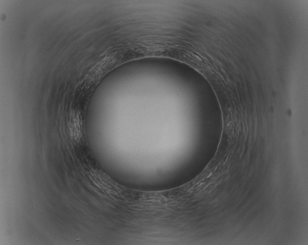 X0000077340866200611031753