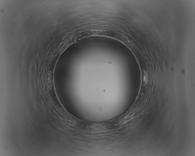X0000077340867200611031753