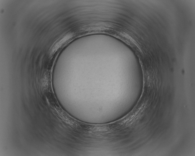 X0000077340874200611031753