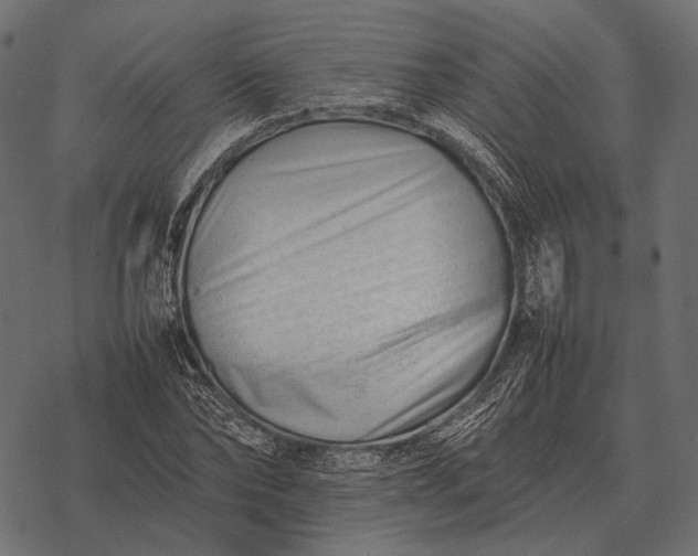 X0000077340878200611031753