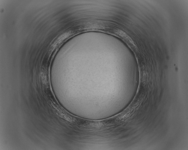 X0000077340882200611031753