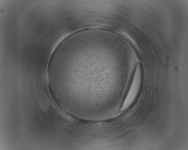 X0000077340891200611031753