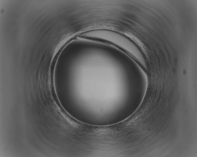 X0000077340894200611031752